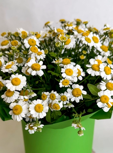 Композиция &laquo;Радужное настроение&raquo; от интернет-магазина цветов в Красноярске