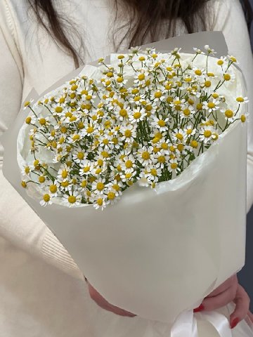 Монобукет из ромашек от интернет-магазина цветов в Красноярске