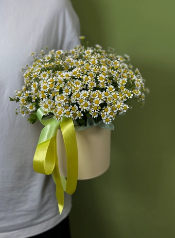 Композиция из ромашек от интернет-магазина цветов в Красноярске